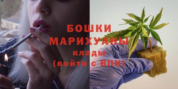 шишки Медногорск
