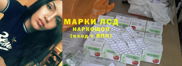 шишки Медногорск