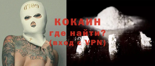 шишки Медногорск