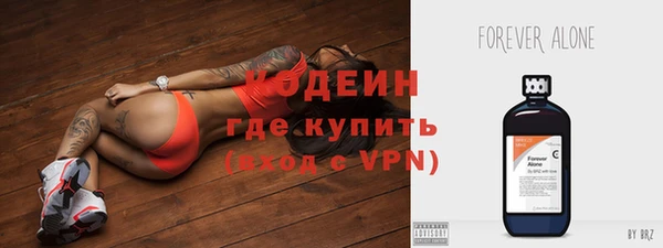 хмурый Мегион
