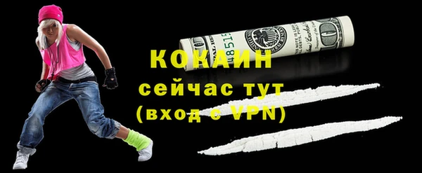 хмурый Мегион