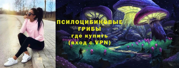 шишки Медногорск