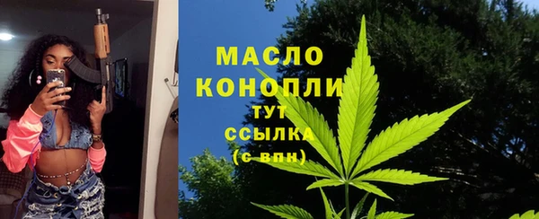 шишки Медногорск