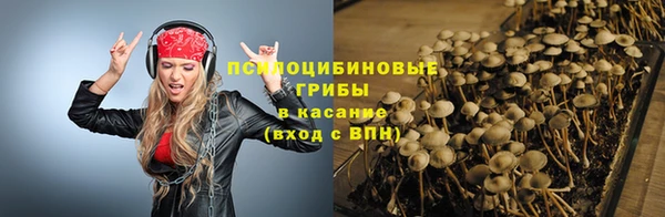 шишки Медногорск
