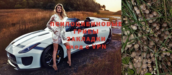 шишки Медногорск