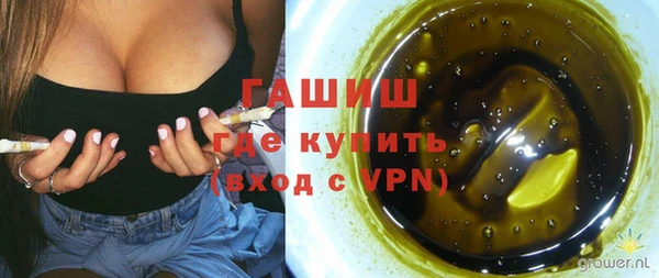 шишки Медногорск
