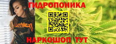 Альфа ПВП Краснознаменск