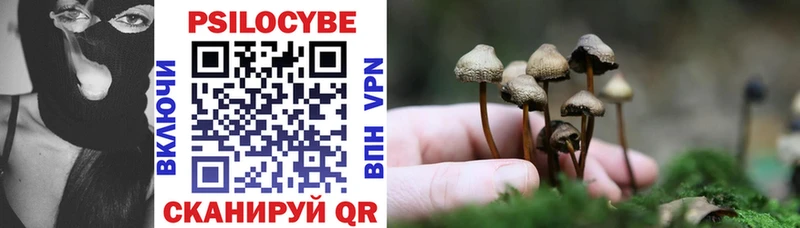 магазин    Усть-Илимск  Псилоцибиновые грибы Psilocybine cubensis 