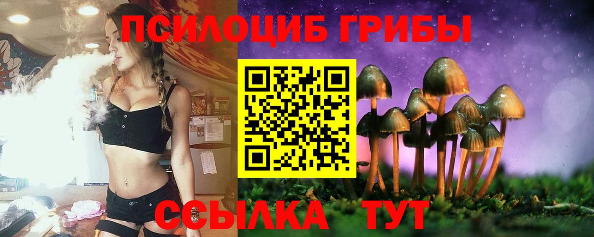 Усть-Илимск  Псилоцибиновые грибы GOLDEN TEACHER  Вход с VPN 