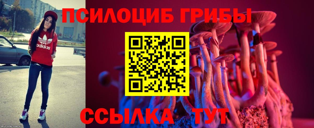 Галлюциногенные грибы Psilocybine cubensis Усть-Илимск